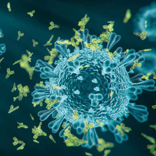 Examen de VDRL, orden medica, virus
