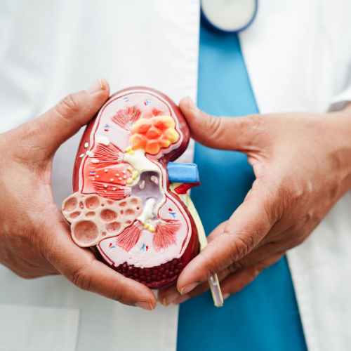 infeccion urinaria, examen, riñon, Orina completa Urocultivo con Antibiograma