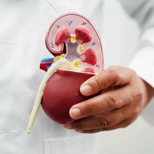 Quiero mi orden - quiero mi examen - orden medica online - doctor911 - Examen Bun y creatinina, quiero mi examen, quiero mi orden, examenes